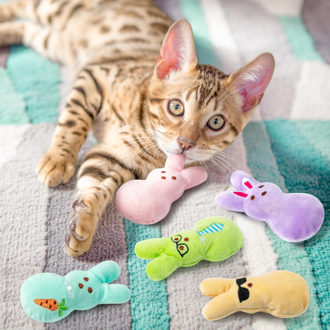 MALLMALL6 Halloween Catnip Toys – 5pcs Pumpkin Teething Set for Kittens & Cats - MALLMALL6 Halloween Catnip Toys – 5pcs Pumpkin Teething Set for Kittens & Cats