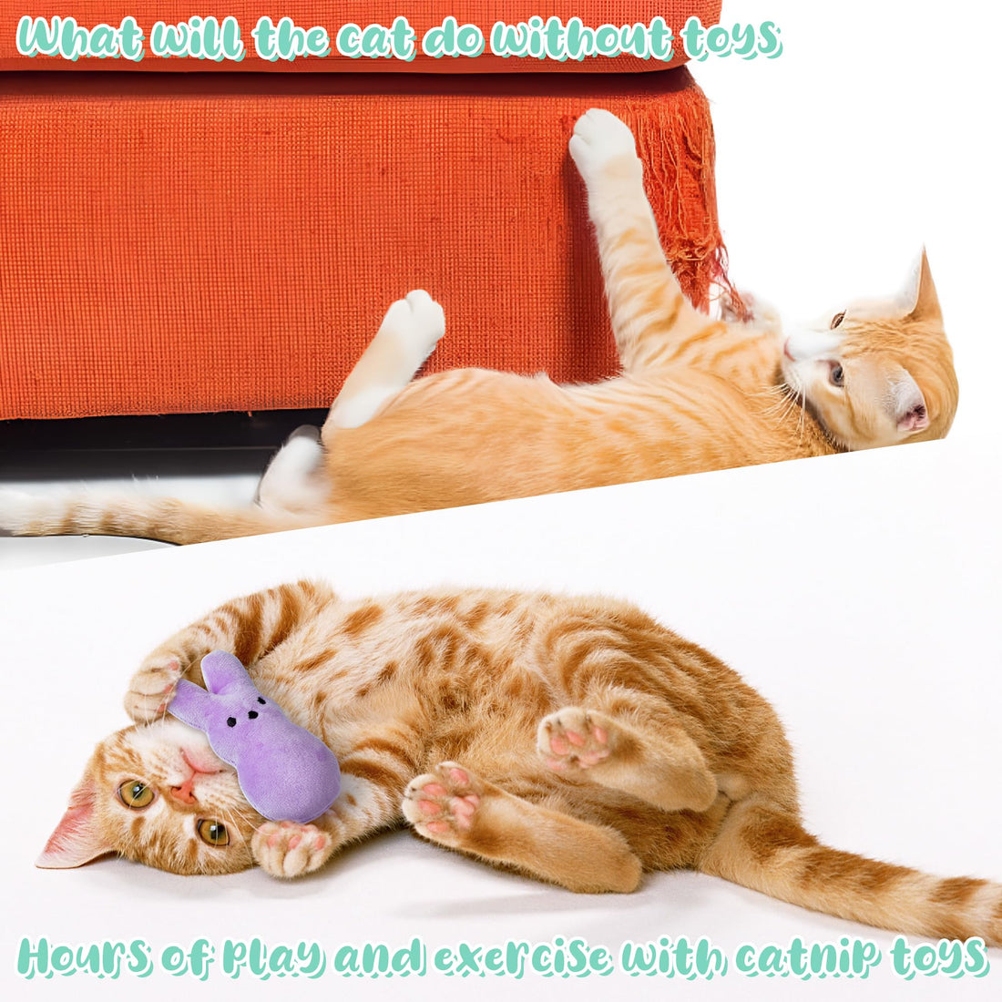MALLMALL6 Halloween Catnip Toys – 5pcs Pumpkin Teething Set for Kittens & Cats - MALLMALL6 Halloween Catnip Toys – 5pcs Pumpkin Teething Set for Kittens & Cats