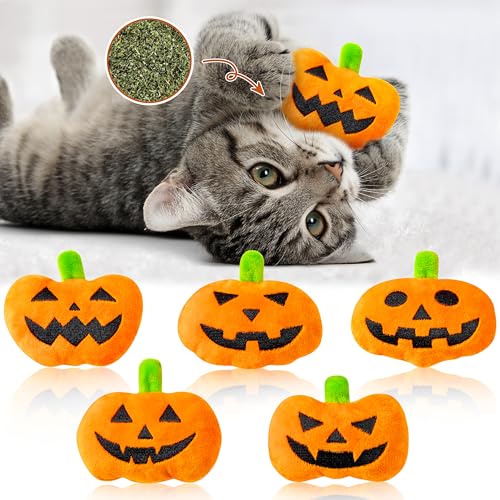 MALLMALL6 Halloween Catnip Toys – 5pcs Pumpkin Teething Set for Kittens & Cats - MALLMALL6 Halloween Catnip Toys – 5pcs Pumpkin Teething Set for Kittens & Cats