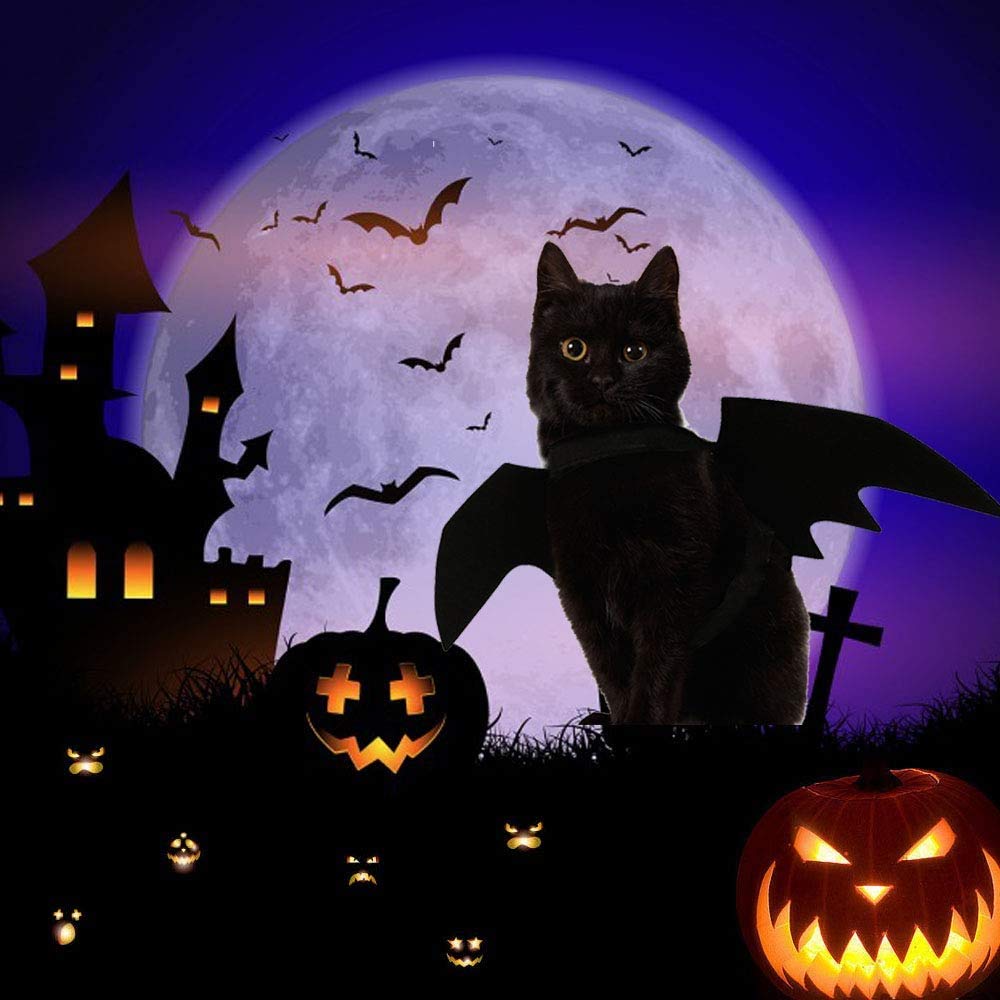Cat Halloween Bat Wings Costume – Dress-Up Accessory for Cats & Small Dogs - Cat Halloween Bat Wings Costume – Dress-Up Accessory for Cats & Small Dogs