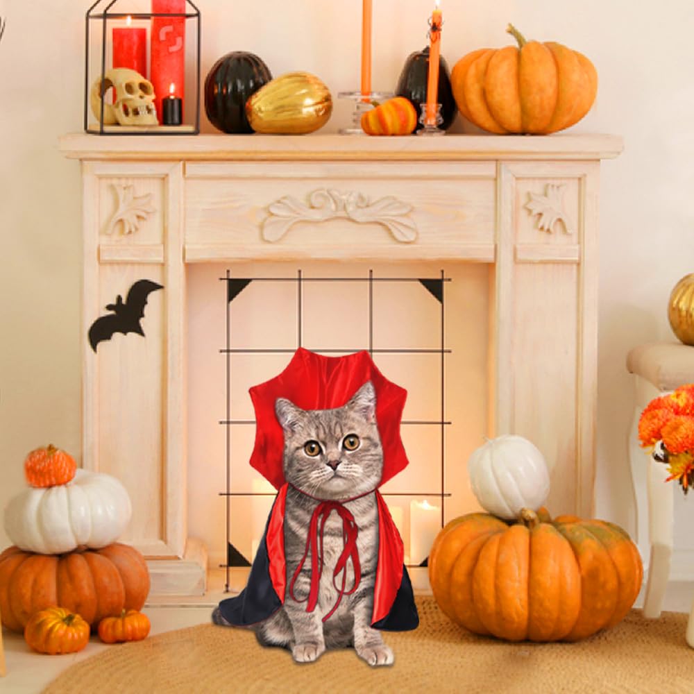 Vampire/Wizard/Witch Costume for Cats & Small Dogs - Vampire/Wizard/Witch Costume for Cats & Small Dogs