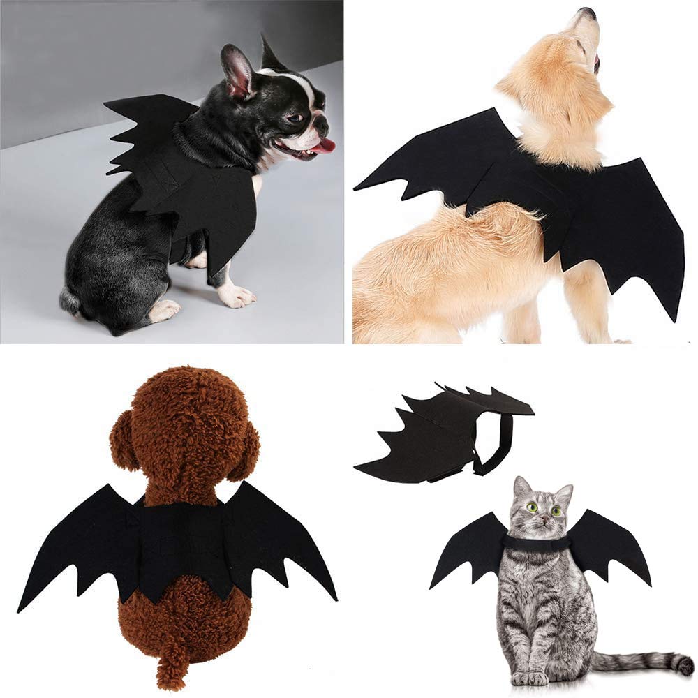 Cat Halloween Bat Wings Costume – Dress-Up Accessory for Cats & Small Dogs - Cat Halloween Bat Wings Costume – Dress-Up Accessory for Cats & Small Dogs