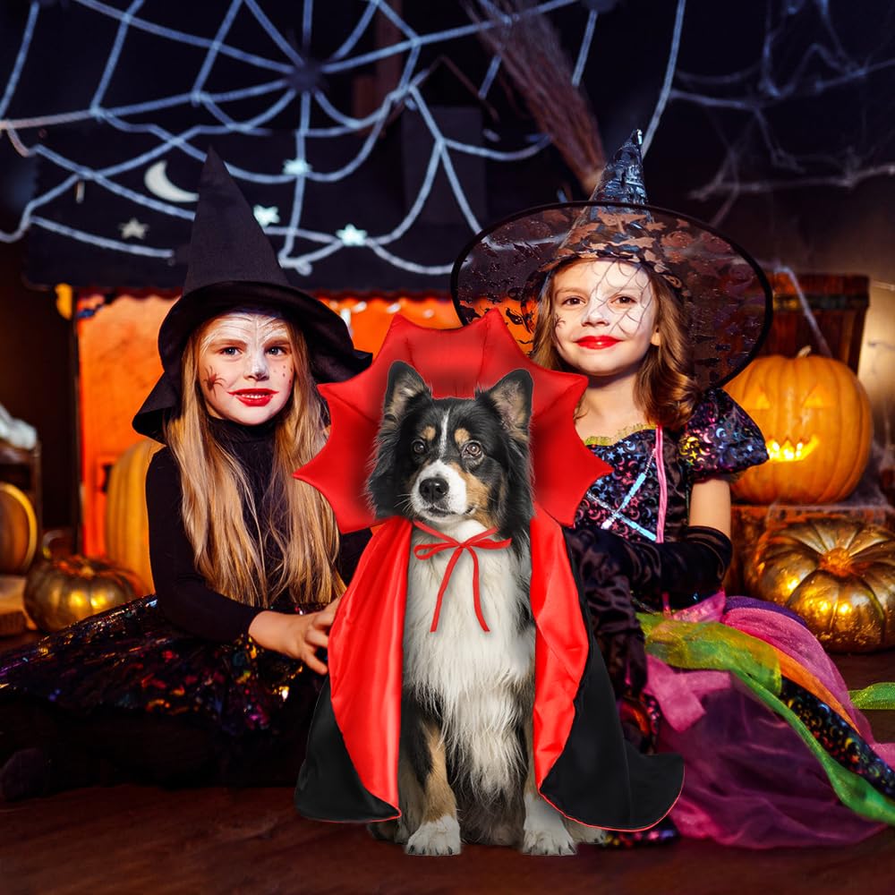 Vampire, Witch & Wizard Cloak for Cats & Small Dogs - Vampire, Witch & Wizard Cloak for Cats & Small Dogs