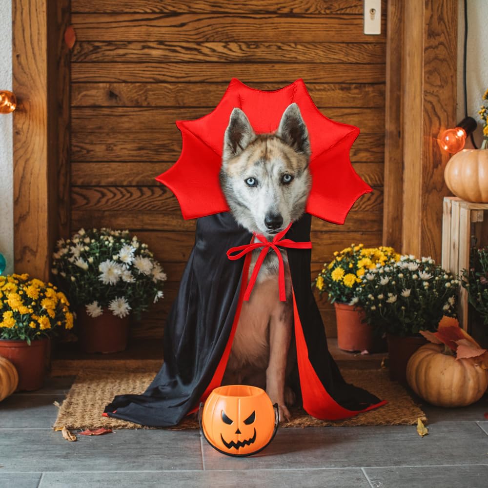 Vampire/Wizard/Witch Costume for Cats & Small Dogs - Vampire/Wizard/Witch Costume for Cats & Small Dogs