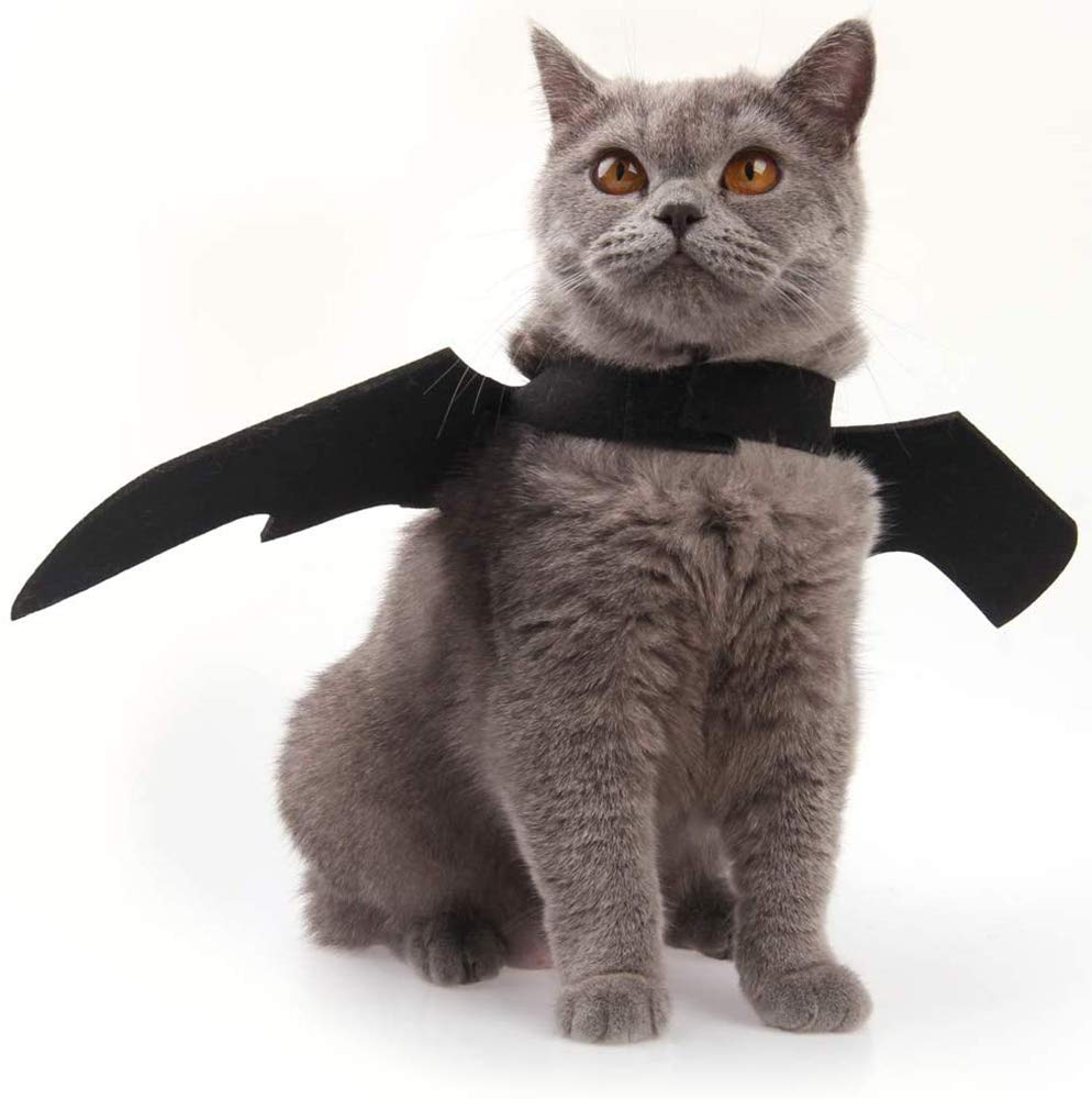 Cat Halloween Bat Wings Costume – Dress-Up Accessory for Cats & Small Dogs - Cat Halloween Bat Wings Costume – Dress-Up Accessory for Cats & Small Dogs