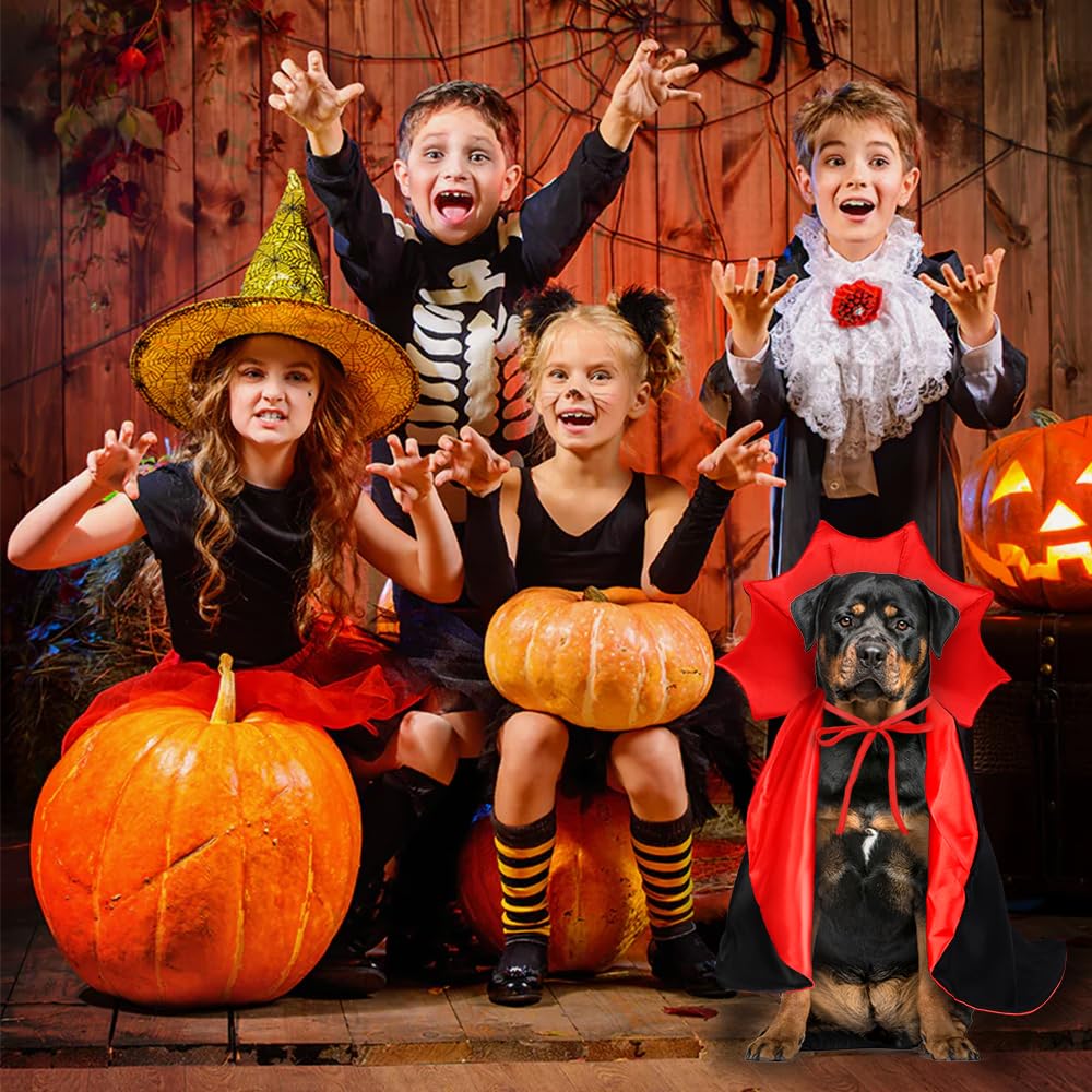 Vampire/Wizard/Witch Costume for Cats & Small Dogs - Vampire/Wizard/Witch Costume for Cats & Small Dogs