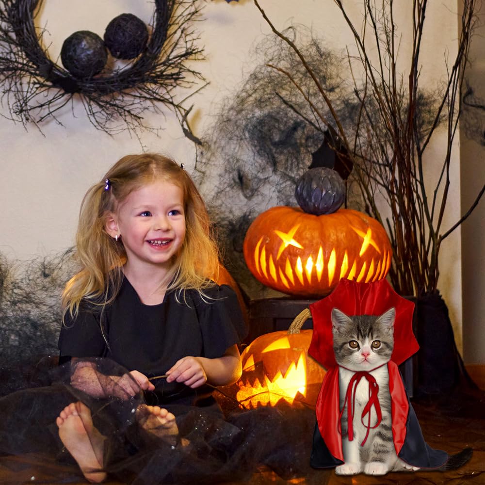 Vampire/Wizard/Witch Costume for Cats & Small Dogs - Vampire/Wizard/Witch Costume for Cats & Small Dogs