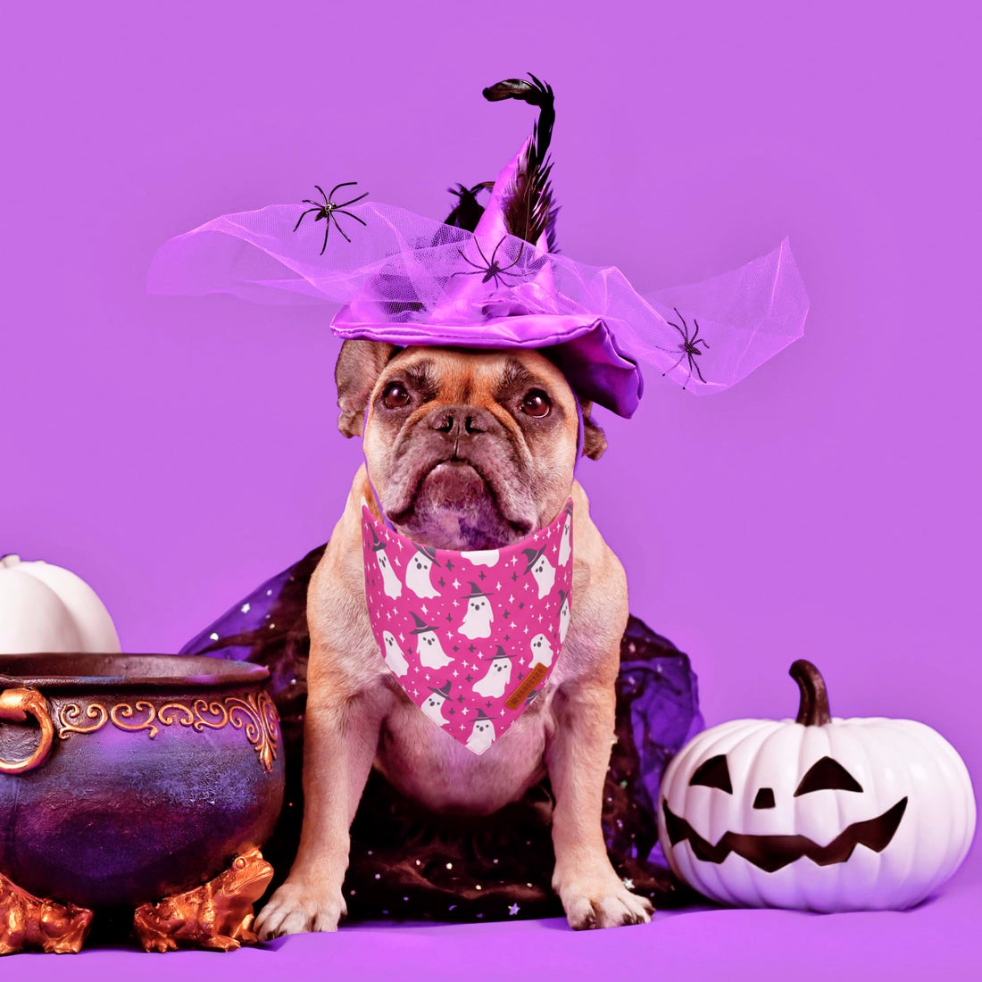 ADOGGYGO Halloween Dog Bandana - ADOGGYGO Halloween Dog Bandana