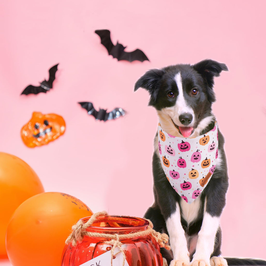 ADOGGYGO Halloween Dog Bandana - ADOGGYGO Halloween Dog Bandana