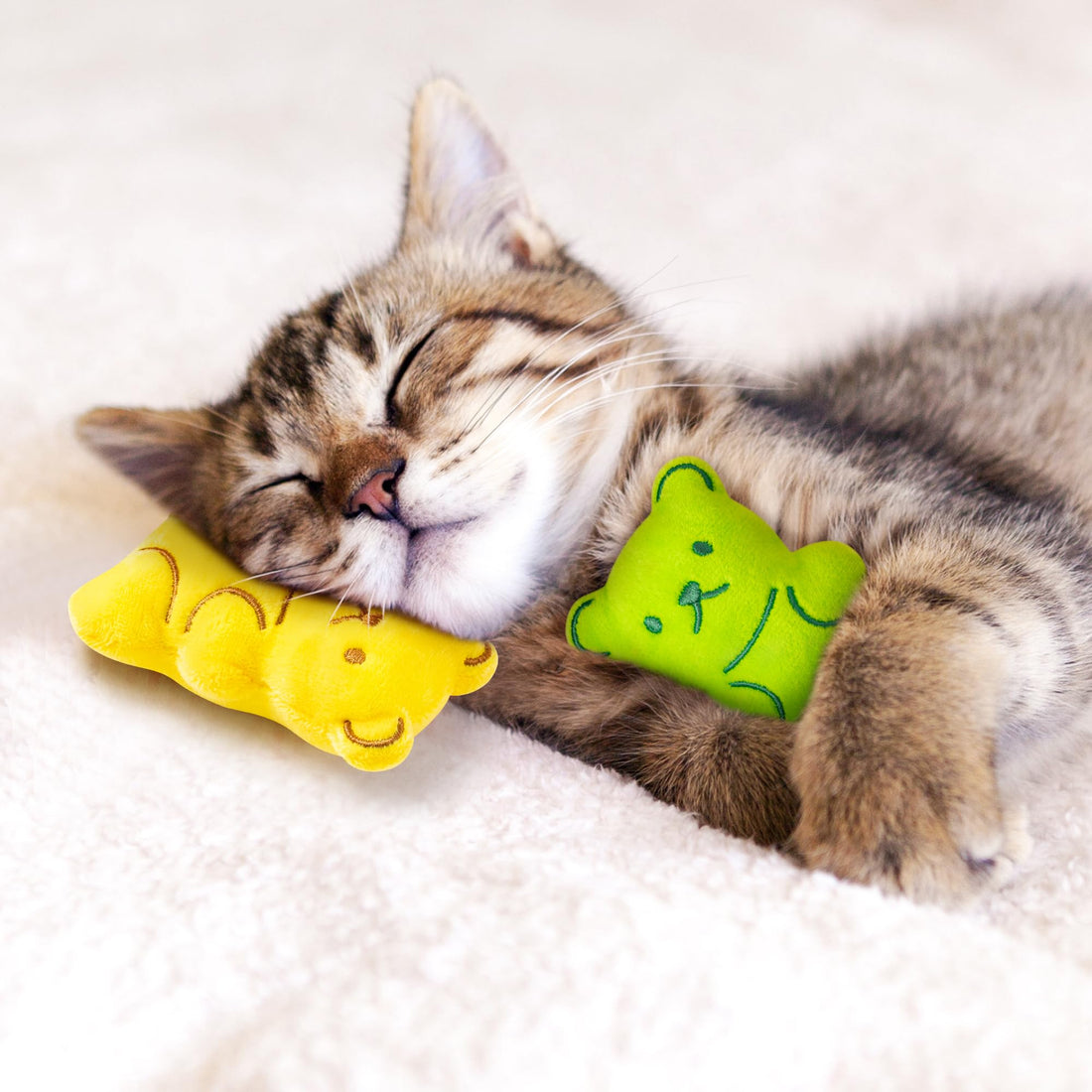 MALLMALL6 Halloween Catnip Toys – 5pcs Pumpkin Teething Set for Kittens & Cats - MALLMALL6 Halloween Catnip Toys – 5pcs Pumpkin Teething Set for Kittens & Cats