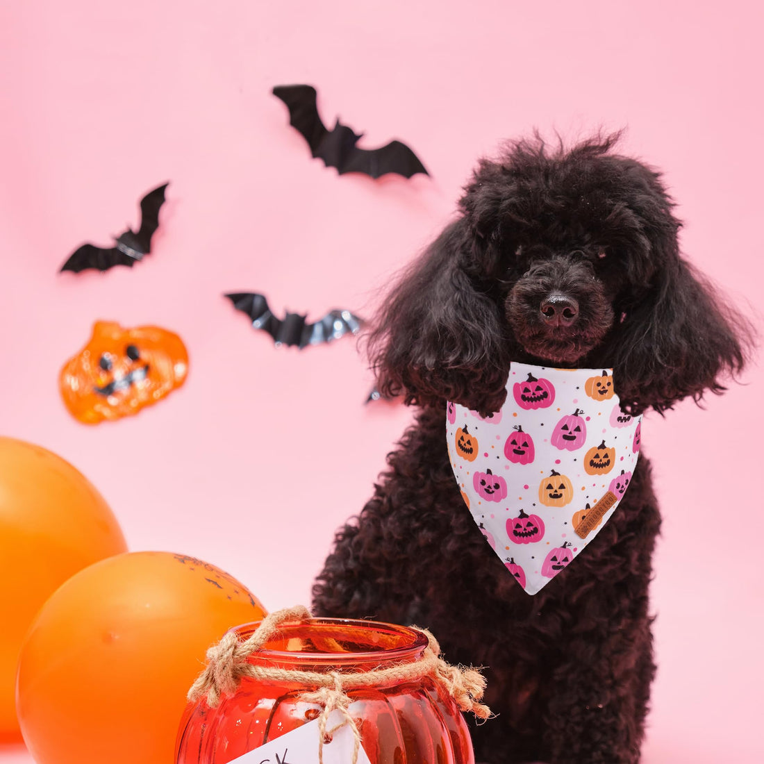 ADOGGYGO Halloween Dog Bandana - ADOGGYGO Halloween Dog Bandana