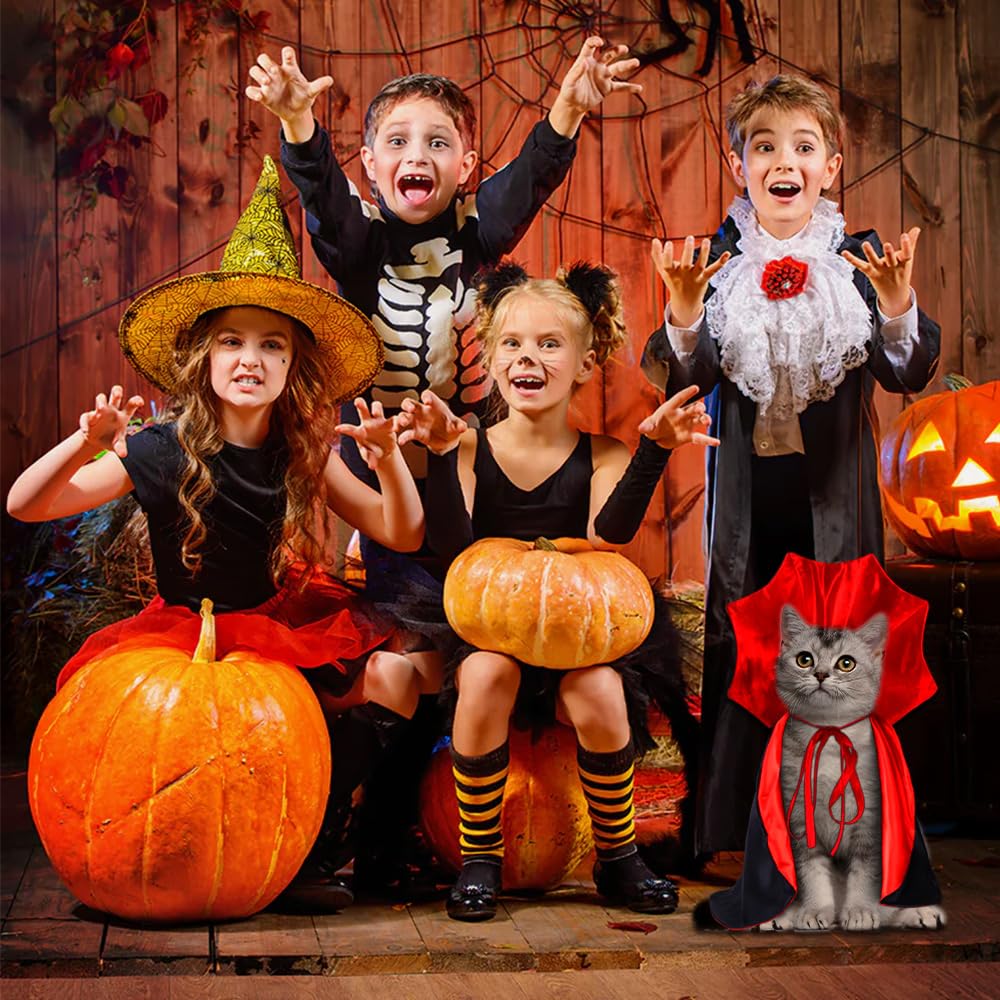 Vampire/Wizard/Witch Costume for Cats & Small Dogs - Vampire/Wizard/Witch Costume for Cats & Small Dogs