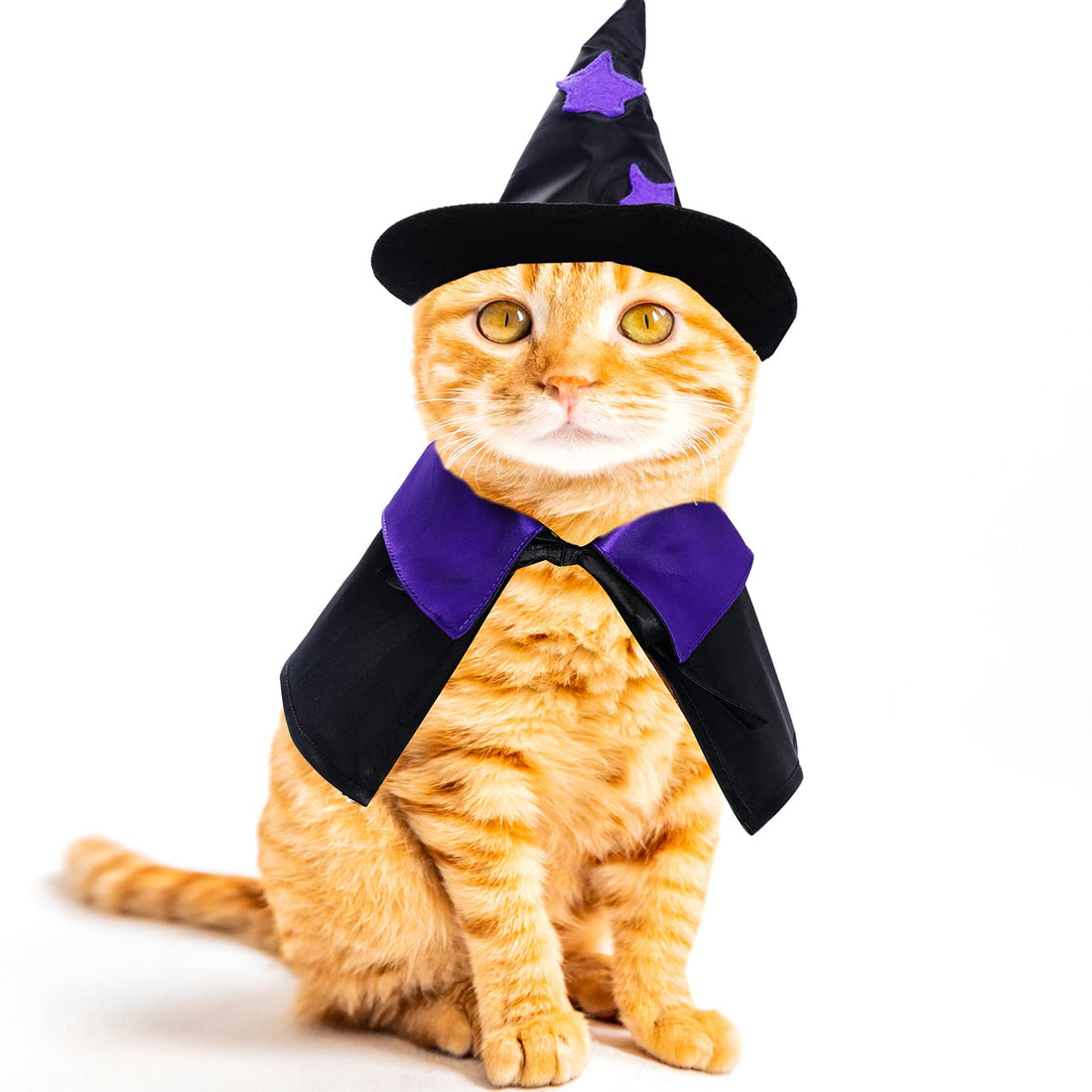 Dxhycc Halloween Wizard Costume for Cats & Small Dogs - Dxhycc Halloween Wizard Costume for Cats & Small Dogs