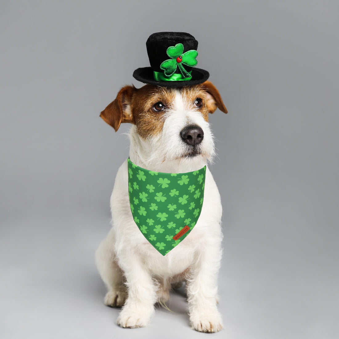 ADOGGYGO Halloween Dog Bandana - ADOGGYGO Halloween Dog Bandana