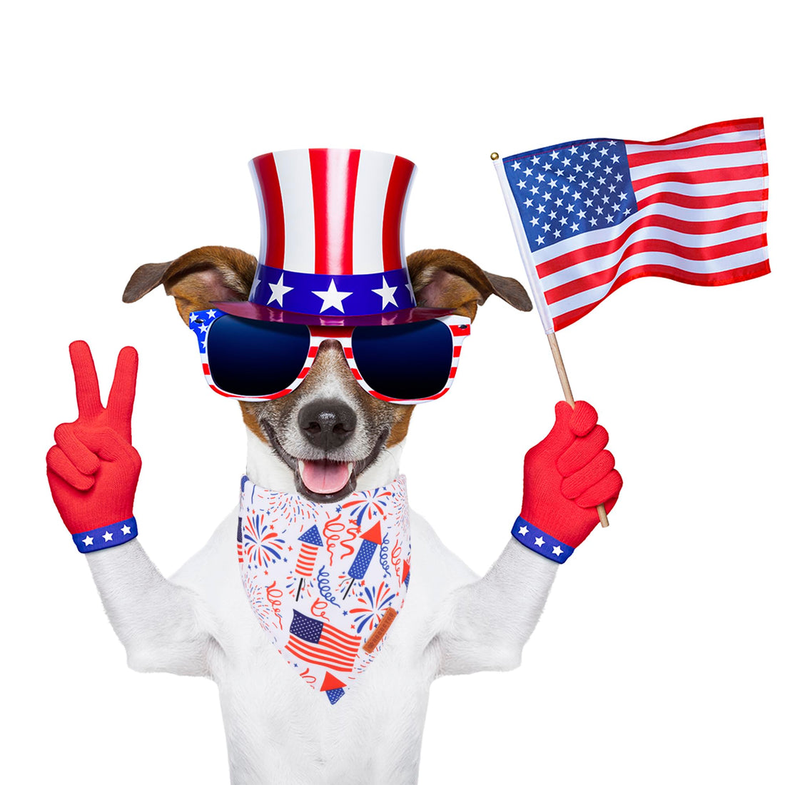 ADOGGYGO Halloween Dog Bandana - ADOGGYGO Halloween Dog Bandana