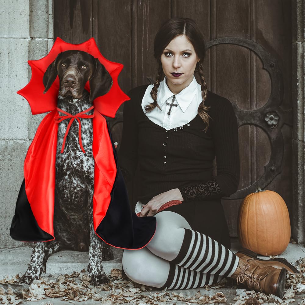 Vampire/Wizard/Witch Costume for Cats & Small Dogs - Vampire/Wizard/Witch Costume for Cats & Small Dogs