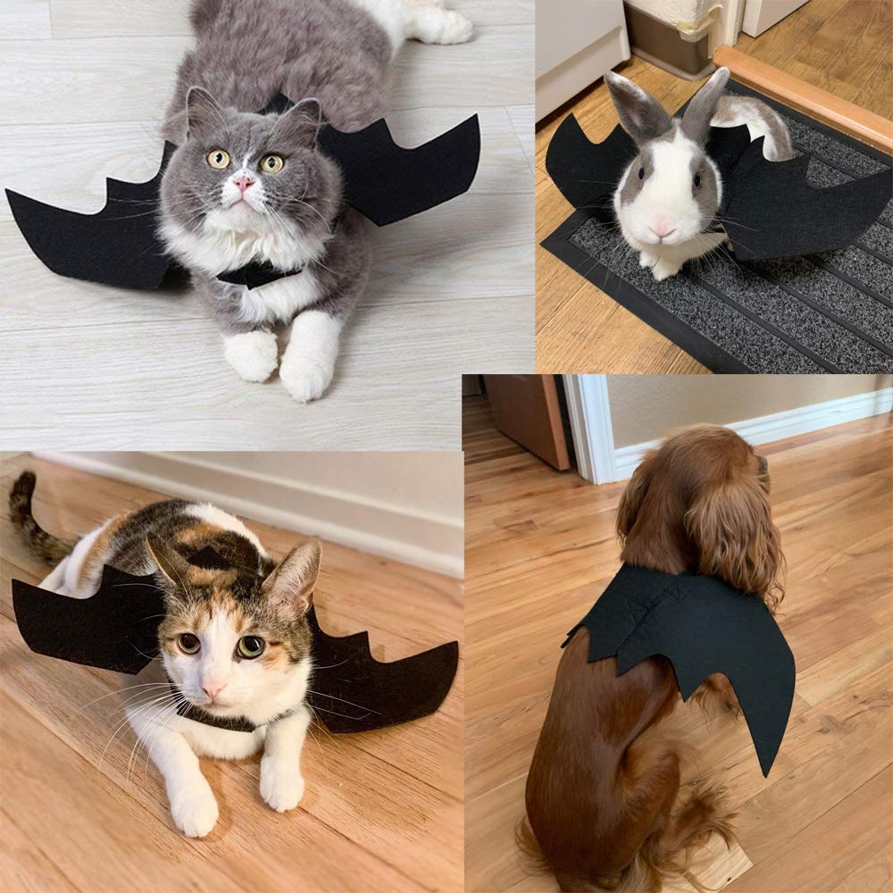Cat Halloween Bat Wings Costume – Dress-Up Accessory for Cats & Small Dogs - Cat Halloween Bat Wings Costume – Dress-Up Accessory for Cats & Small Dogs
