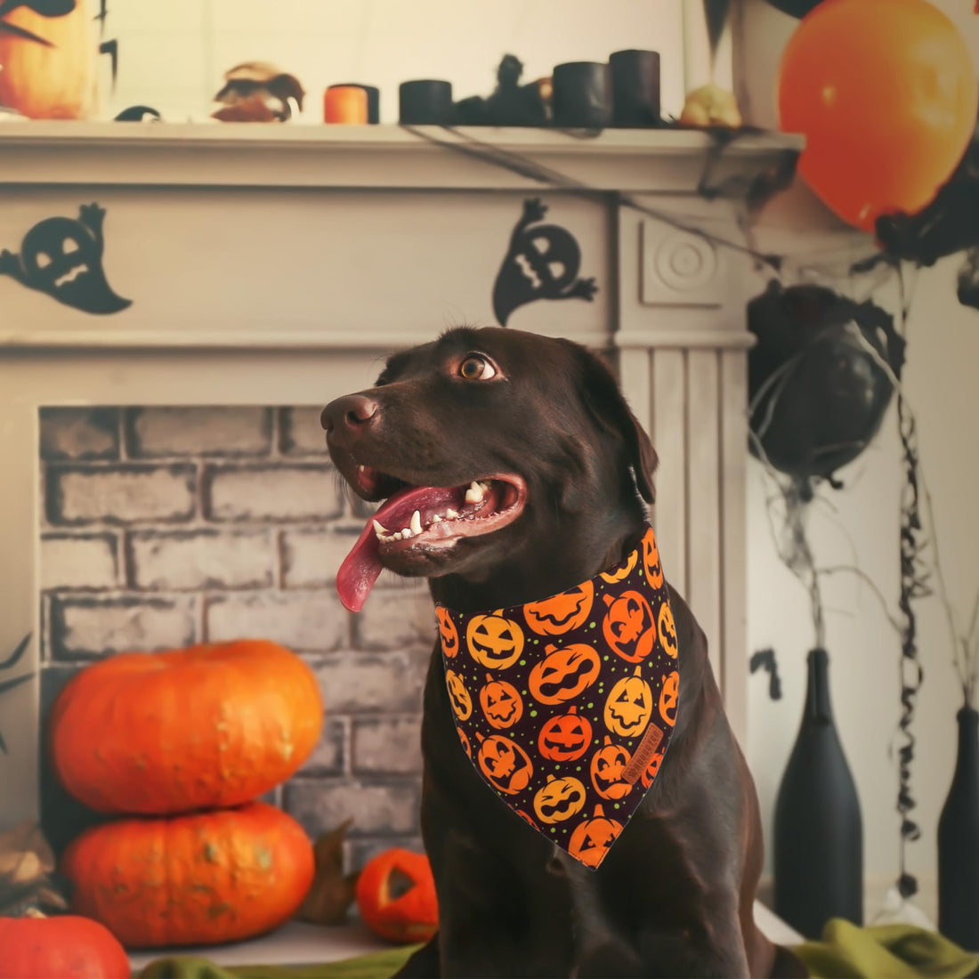 ADOGGYGO Halloween Dog Bandana - ADOGGYGO Halloween Dog Bandana