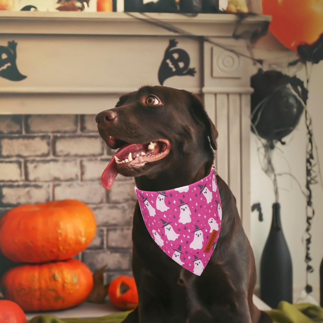 ADOGGYGO Halloween Dog Bandana - ADOGGYGO Halloween Dog Bandana