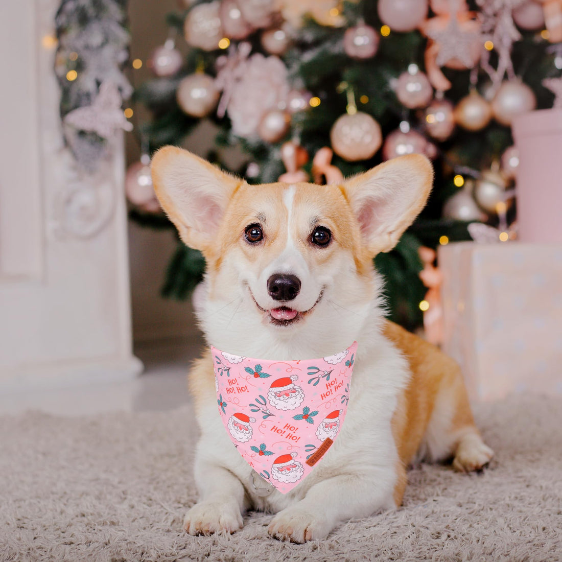 ADOGGYGO Halloween Dog Bandana - ADOGGYGO Halloween Dog Bandana
