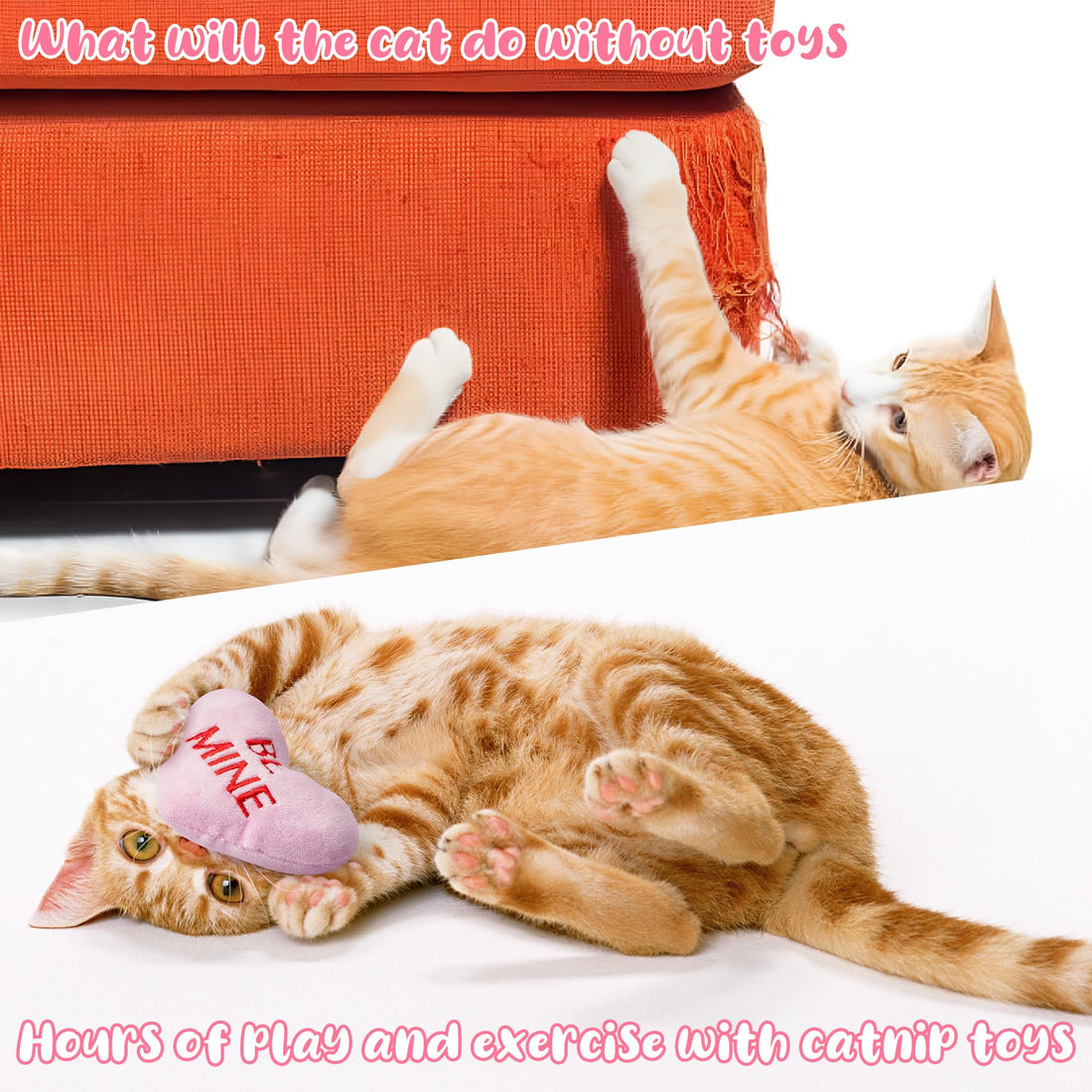 MALLMALL6 Halloween Catnip Toys – 5pcs Pumpkin Teething Set for Kittens & Cats - MALLMALL6 Halloween Catnip Toys – 5pcs Pumpkin Teething Set for Kittens & Cats