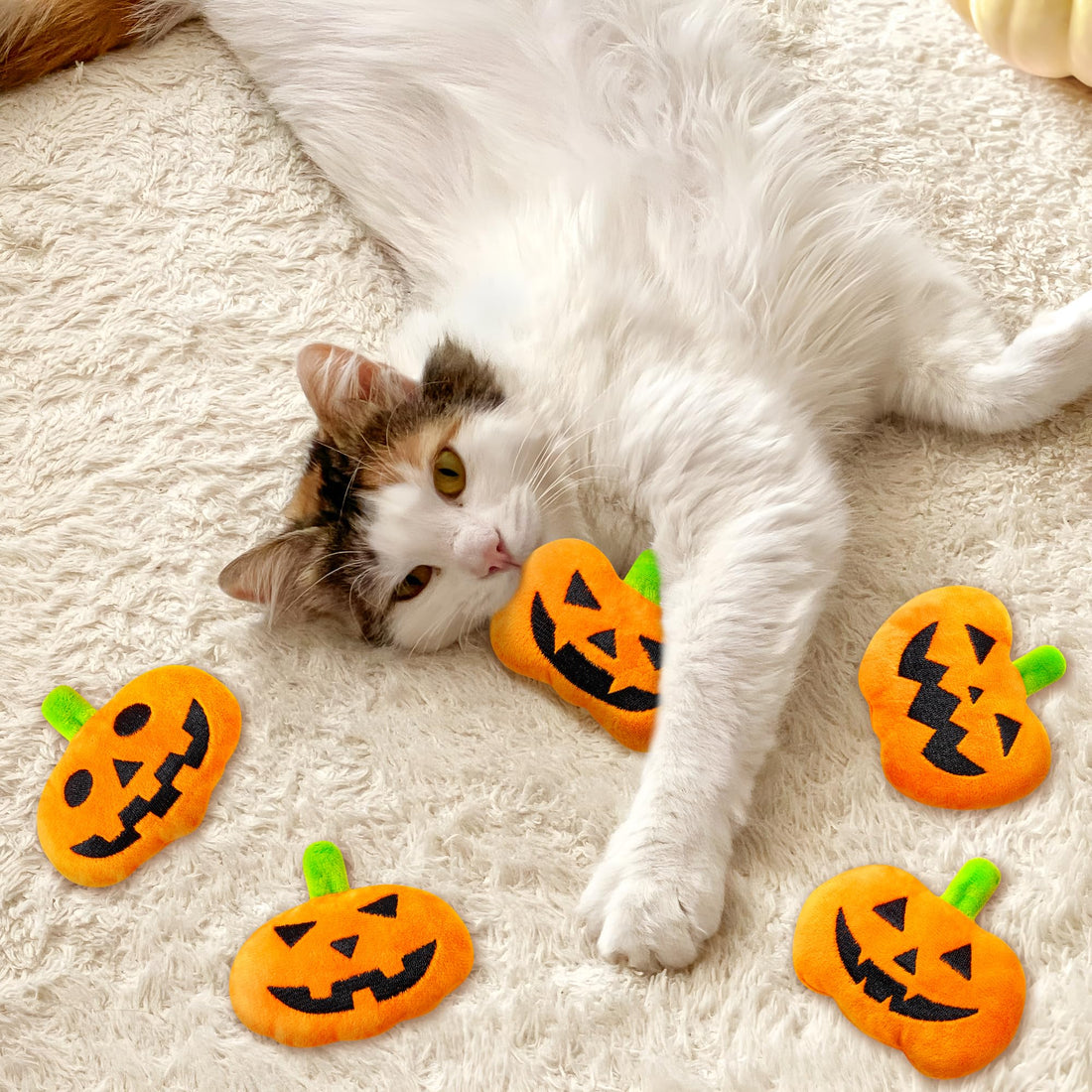 MALLMALL6 Halloween Catnip Toys – 5pcs Pumpkin Teething Set for Kittens & Cats - MALLMALL6 Halloween Catnip Toys – 5pcs Pumpkin Teething Set for Kittens & Cats