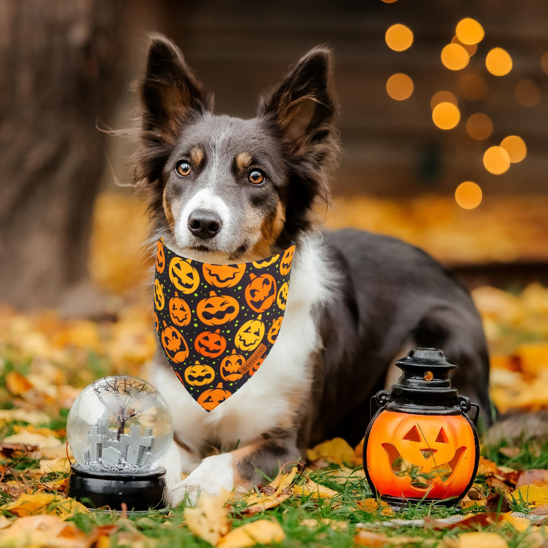ADOGGYGO Halloween Dog Bandana - ADOGGYGO Halloween Dog Bandana