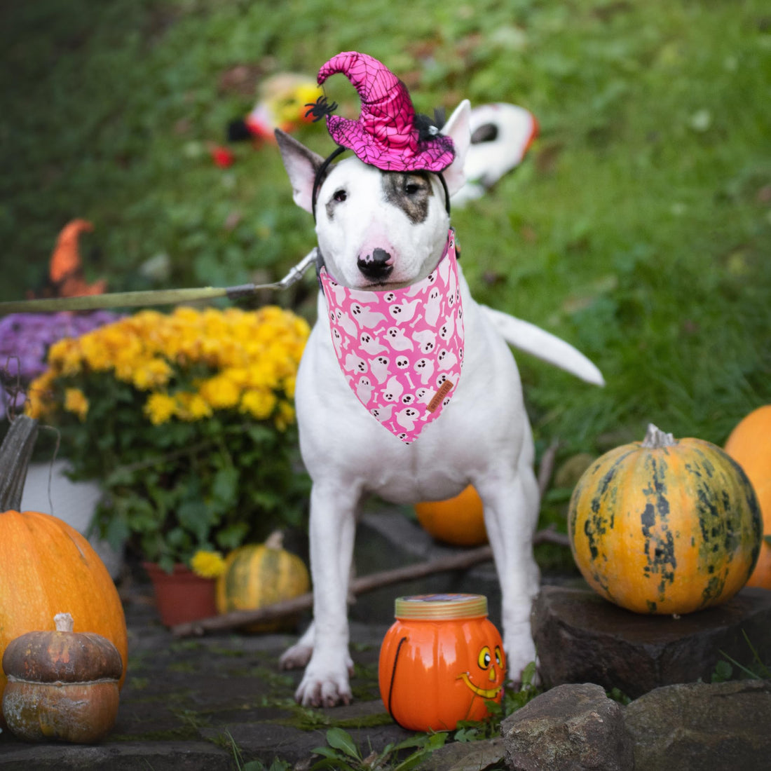 ADOGGYGO Halloween Dog Bandana - ADOGGYGO Halloween Dog Bandana