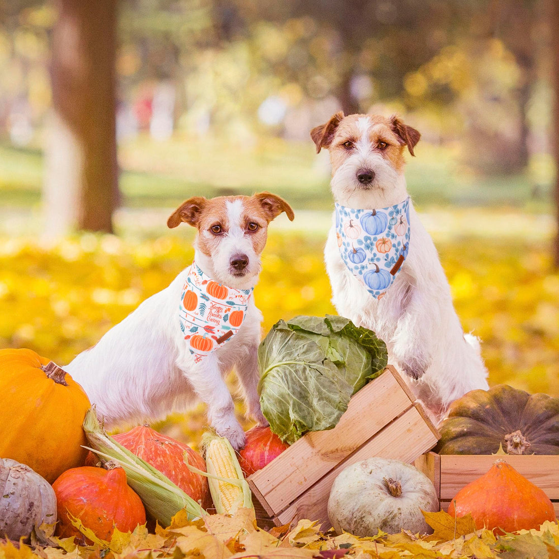 ADOGGYGO Halloween Dog Bandana - ADOGGYGO Halloween Dog Bandana