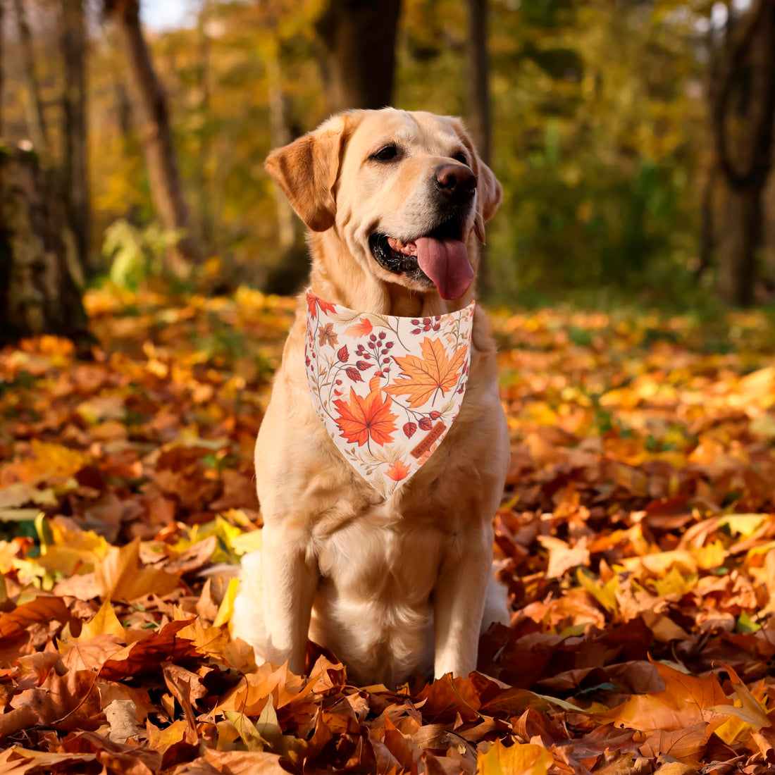 ADOGGYGO Halloween Dog Bandana - ADOGGYGO Halloween Dog Bandana
