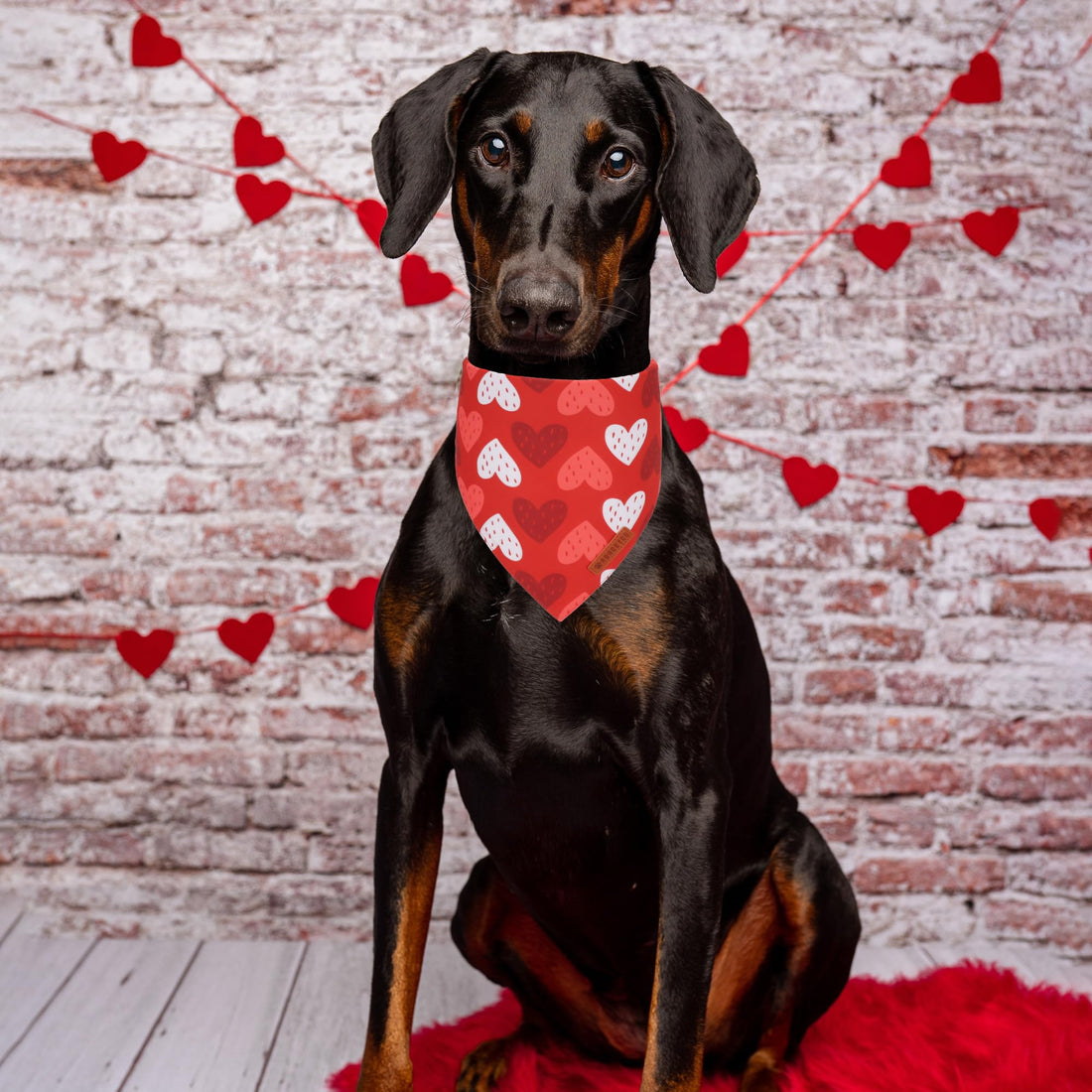 ADOGGYGO Halloween Dog Bandana - ADOGGYGO Halloween Dog Bandana