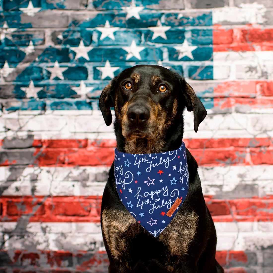 ADOGGYGO Halloween Dog Bandana - ADOGGYGO Halloween Dog Bandana