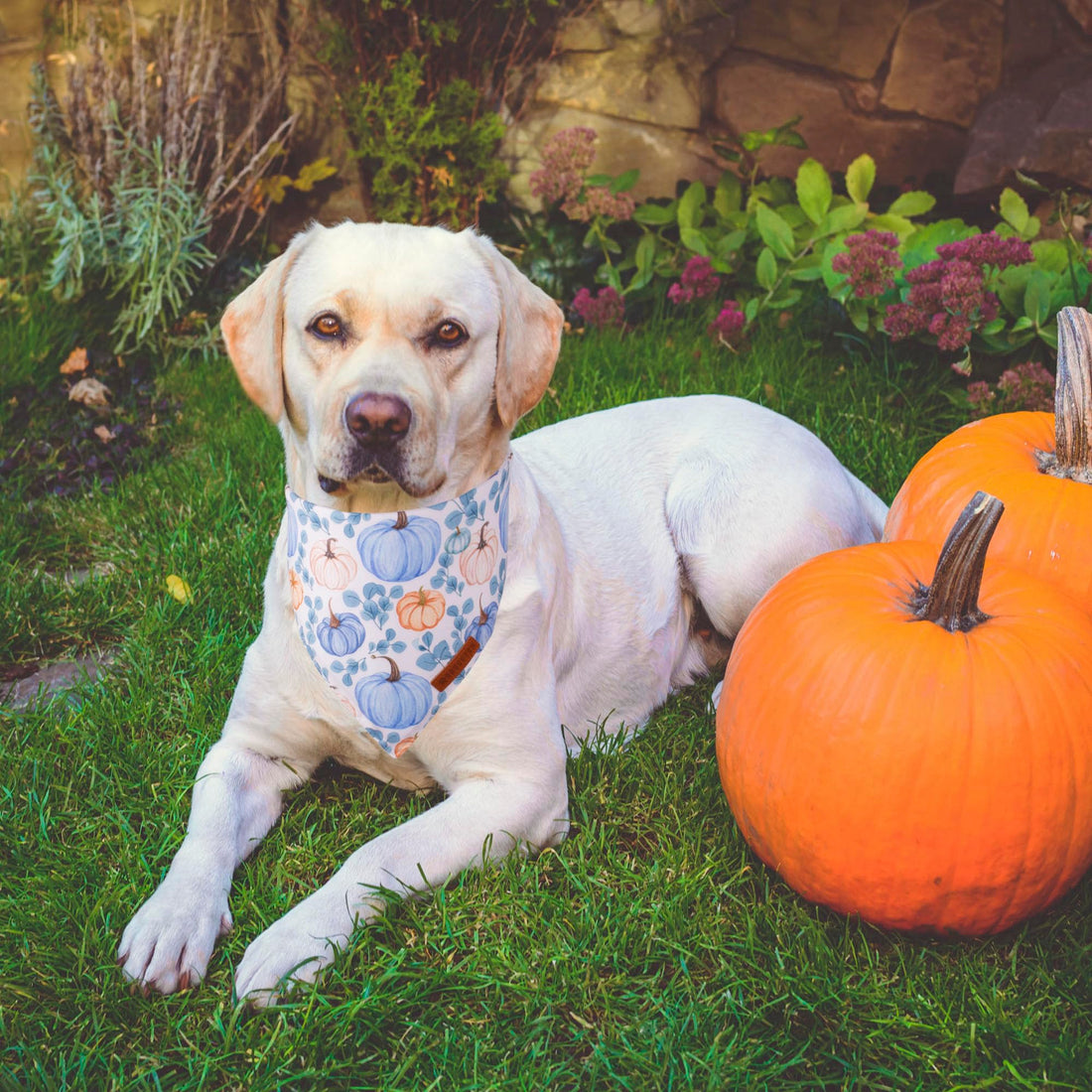 ADOGGYGO Halloween Dog Bandana - ADOGGYGO Halloween Dog Bandana