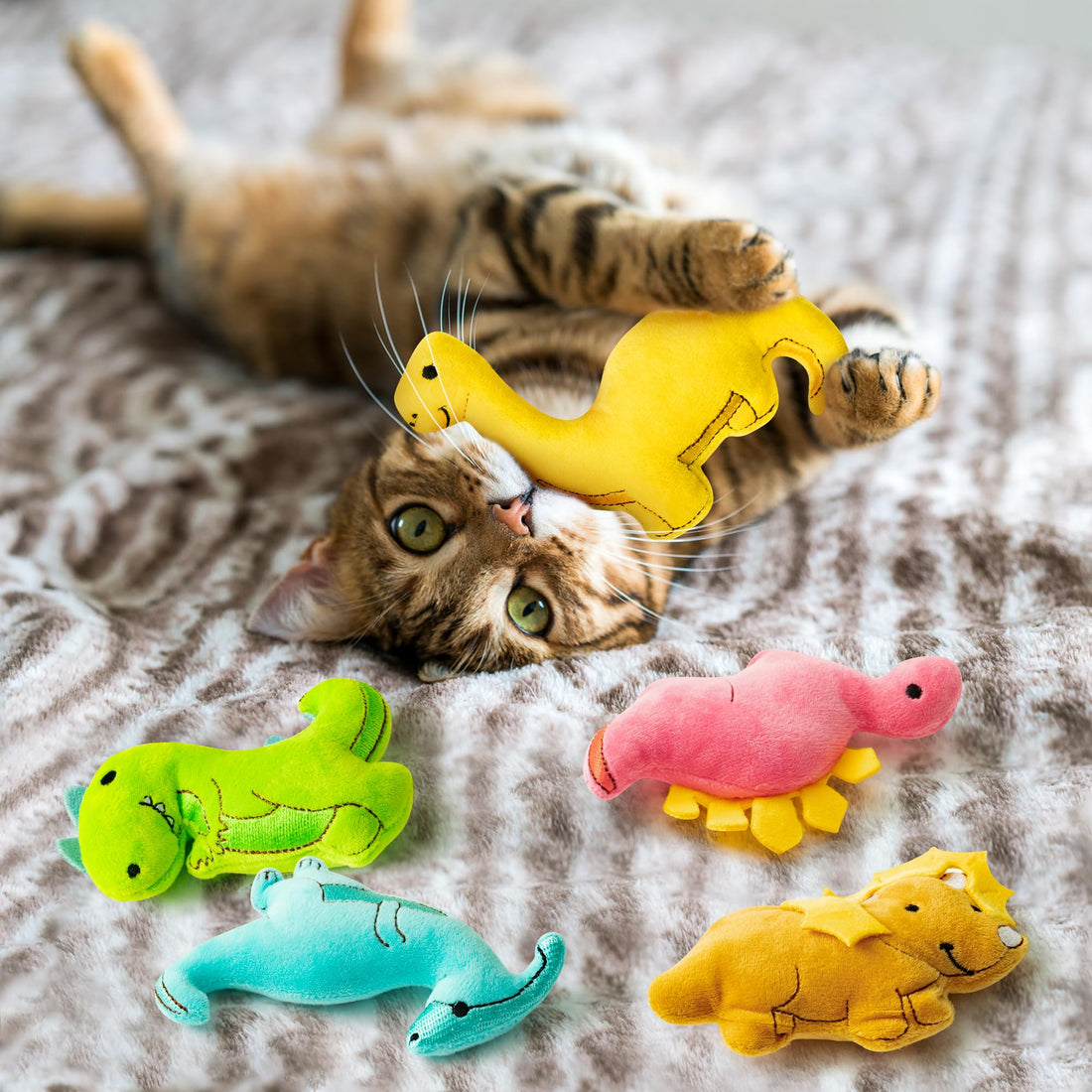 MALLMALL6 Halloween Catnip Toys – 5pcs Pumpkin Teething Set for Kittens & Cats - MALLMALL6 Halloween Catnip Toys – 5pcs Pumpkin Teething Set for Kittens & Cats