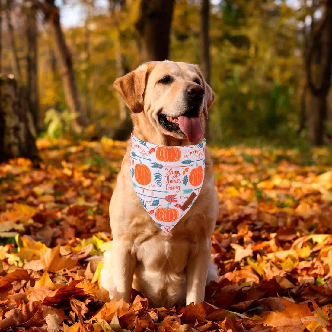 ADOGGYGO Halloween Dog Bandana - ADOGGYGO Halloween Dog Bandana