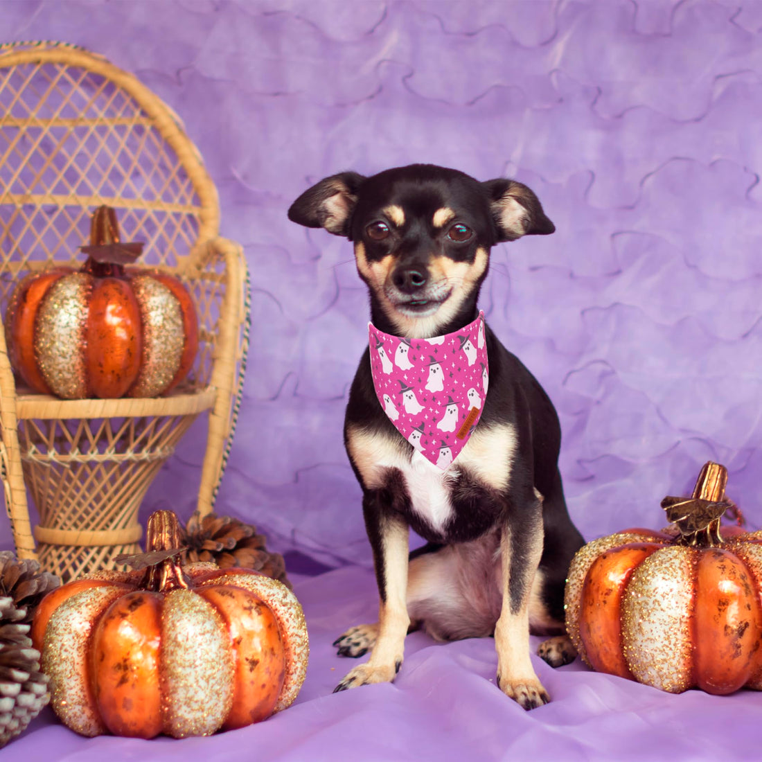 ADOGGYGO Halloween Dog Bandana - ADOGGYGO Halloween Dog Bandana