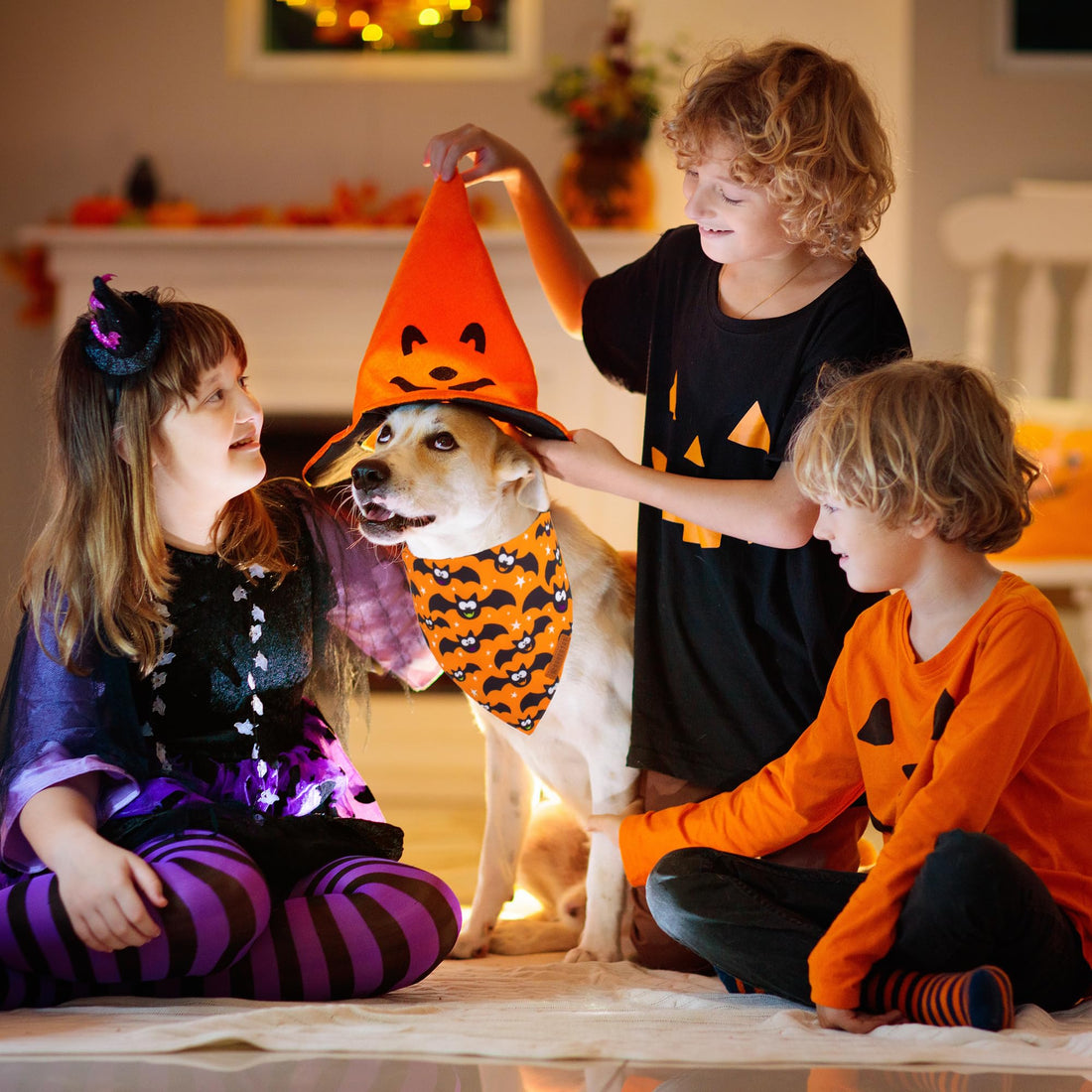 ADOGGYGO Halloween Dog Bandana - ADOGGYGO Halloween Dog Bandana