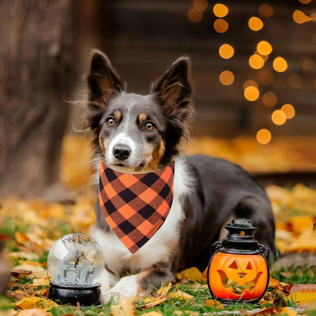 ADOGGYGO Halloween Dog Bandana - ADOGGYGO Halloween Dog Bandana