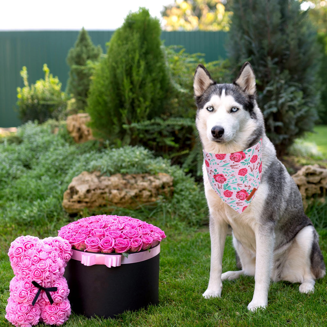 ADOGGYGO Halloween Dog Bandana - ADOGGYGO Halloween Dog Bandana