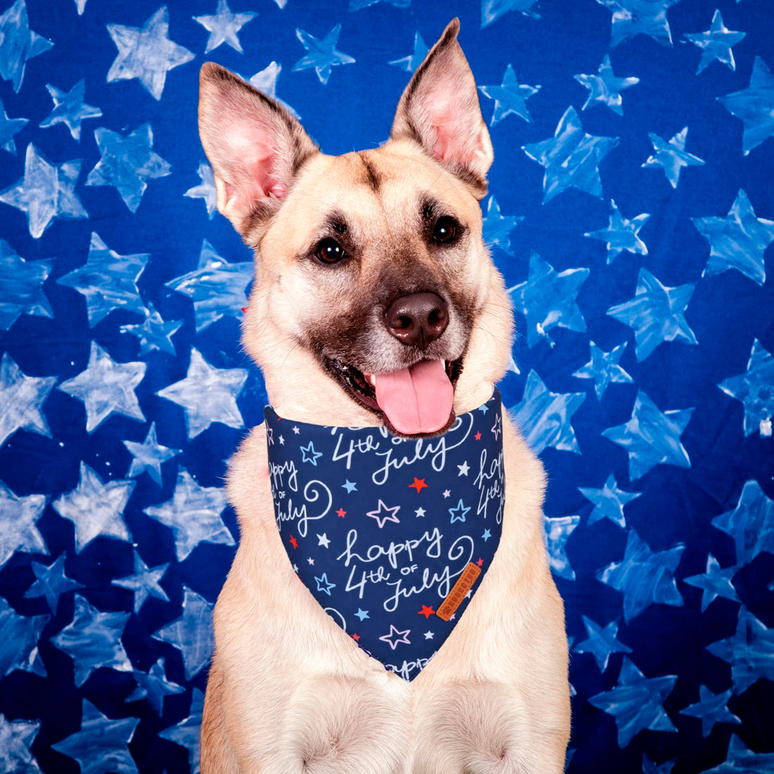 ADOGGYGO Halloween Dog Bandana - ADOGGYGO Halloween Dog Bandana