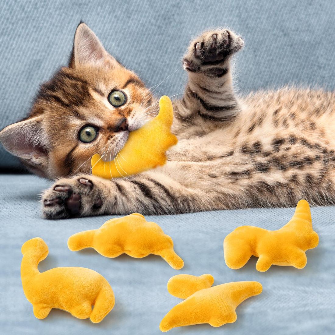 MALLMALL6 Halloween Catnip Toys – 5pcs Pumpkin Teething Set for Kittens & Cats - MALLMALL6 Halloween Catnip Toys – 5pcs Pumpkin Teething Set for Kittens & Cats