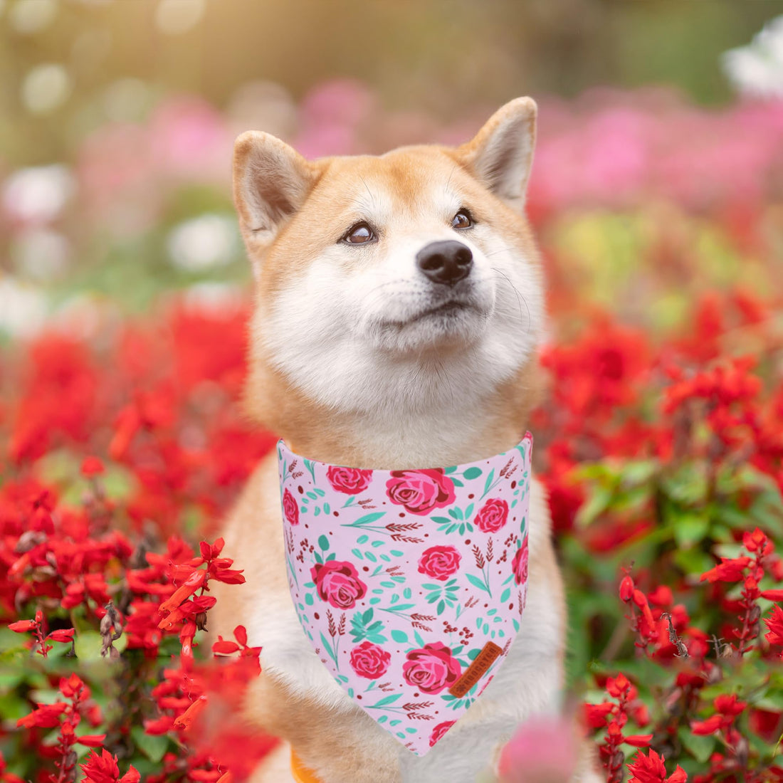 ADOGGYGO Halloween Dog Bandana - ADOGGYGO Halloween Dog Bandana