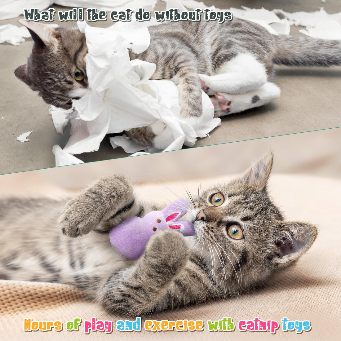 MALLMALL6 Halloween Catnip Toys – 5pcs Pumpkin Teething Set for Kittens & Cats - MALLMALL6 Halloween Catnip Toys – 5pcs Pumpkin Teething Set for Kittens & Cats