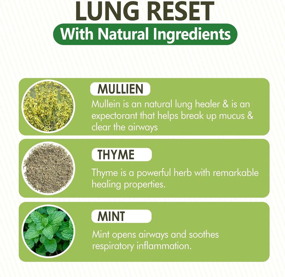 Lung Detox Mullein Diffuser Pen - Lung Detox Mullein Diffuser Pen