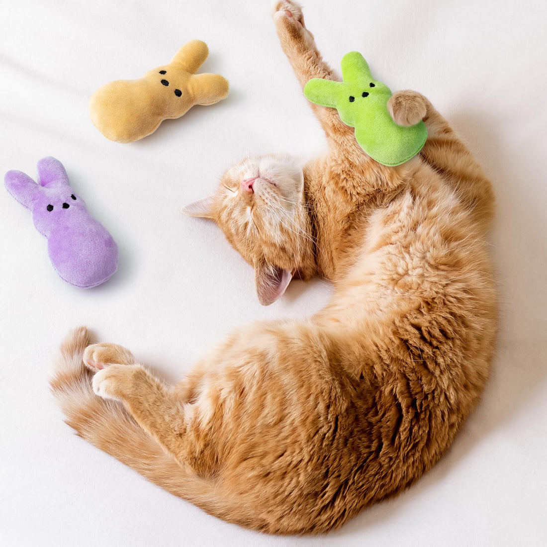 MALLMALL6 Halloween Catnip Toys – 5pcs Pumpkin Teething Set for Kittens & Cats - MALLMALL6 Halloween Catnip Toys – 5pcs Pumpkin Teething Set for Kittens & Cats