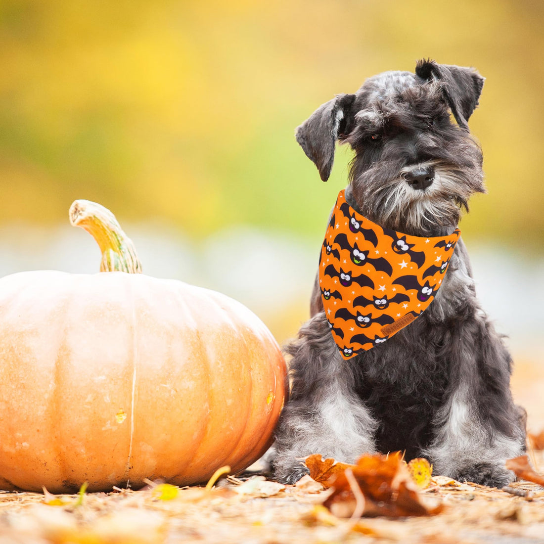 ADOGGYGO Halloween Dog Bandana - ADOGGYGO Halloween Dog Bandana