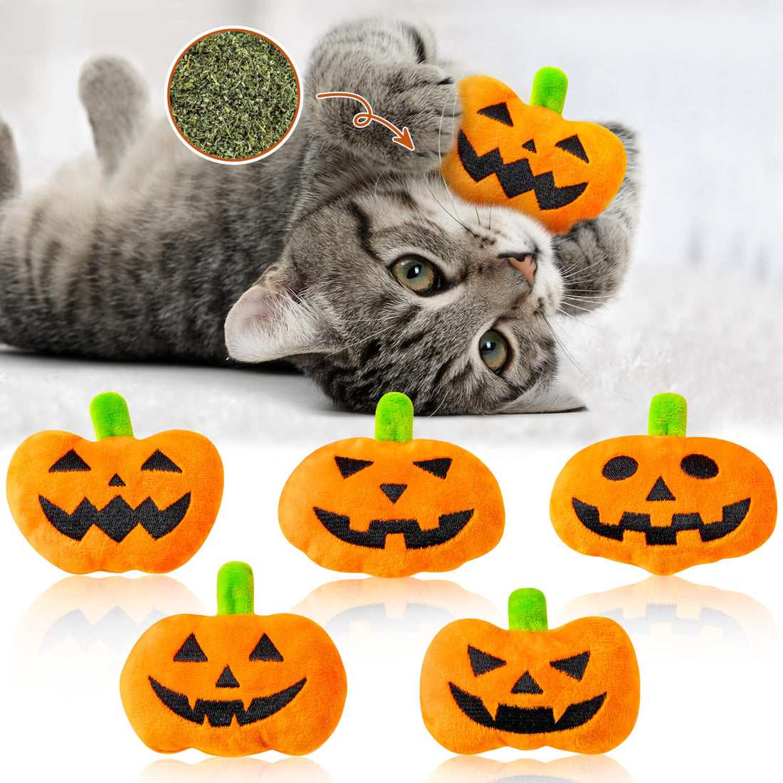 MALLMALL6 Halloween Catnip Toys – 5pcs Pumpkin Teething Set for Kittens & Cats - MALLMALL6 Halloween Catnip Toys – 5pcs Pumpkin Teething Set for Kittens & Cats
