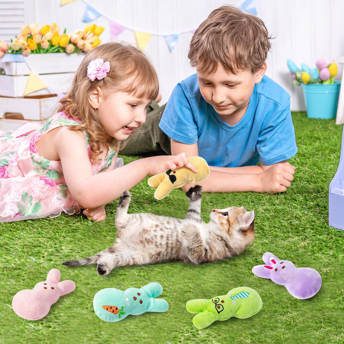 MALLMALL6 Halloween Catnip Toys – 5pcs Pumpkin Teething Set for Kittens & Cats - MALLMALL6 Halloween Catnip Toys – 5pcs Pumpkin Teething Set for Kittens & Cats